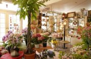 「ササキフローリスト」　（福岡県中間市）の花屋店舗写真2